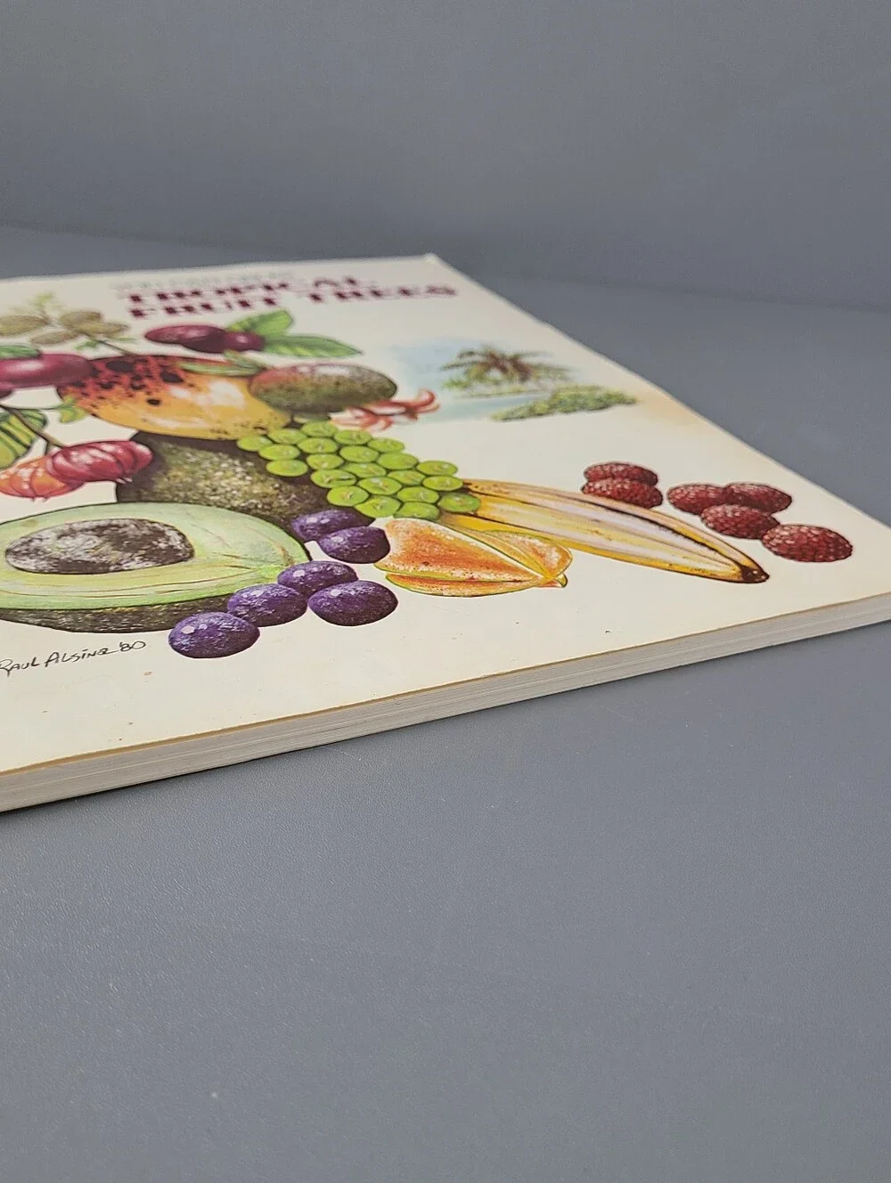 You Can Grow Tropical Fruit Trees Robert H. Mohlenbrock 1980 Vintage Book